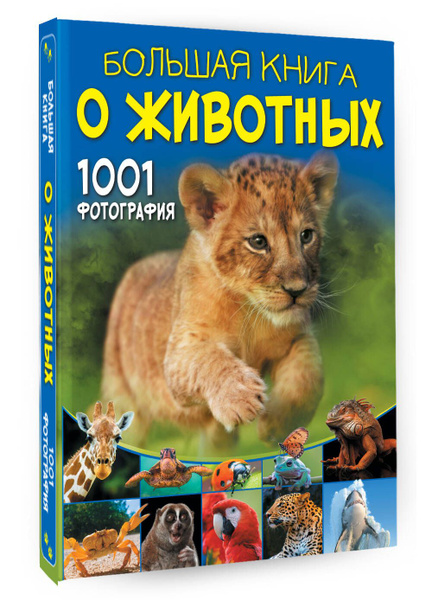 Большая книга о животных. 1001 фотография | Ермакович Дарья Ивановна ...