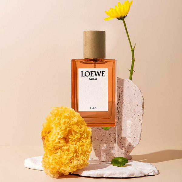 LOEWE Solo Туалетная вода 50 мл (1438225208)