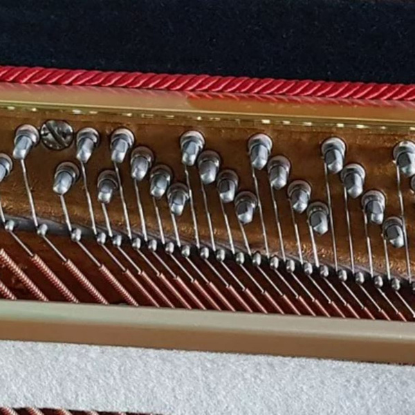 Колки, вирбели 7,1 x 64 mm полный комплект 240шт для пианино и роялей ...
