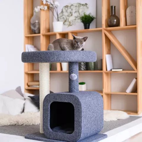 Дом-когтеточка (60х40х70 см) с площадкой для кошек, серая купить на ...