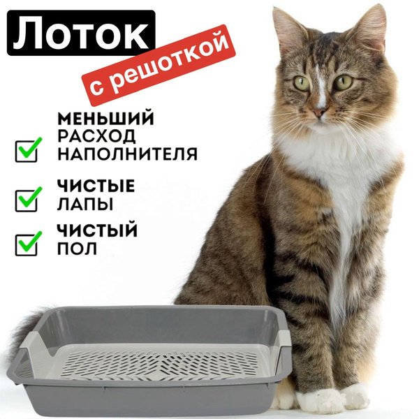 Туалет для кошек с сеткой, лоток для кошек - купить с доставкой по ...