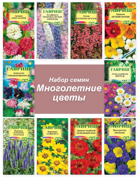 Гелиопсис, Вероника Гавриш Многолетние цветы - купить по выгодным ценам ...