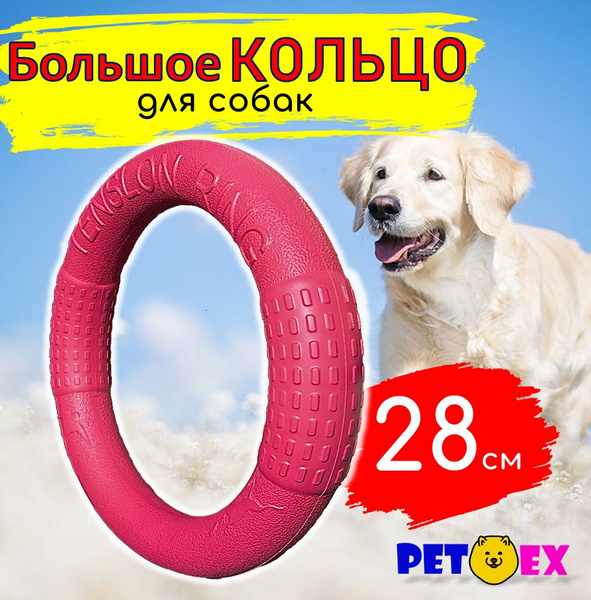 Кольцо для собак средних крупных пород, БОЛЬШОЕ 28 см, тренировочное ...