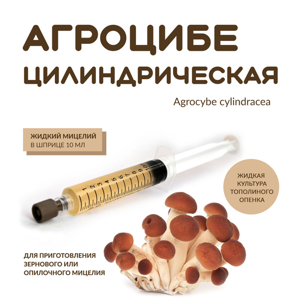 Жидкий мицелий Агроцибе цилиндрической - купить по выгодным ценам в ...
