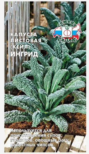 Кейл - купить по выгодным ценам в интернет-магазине OZON (1543846483)