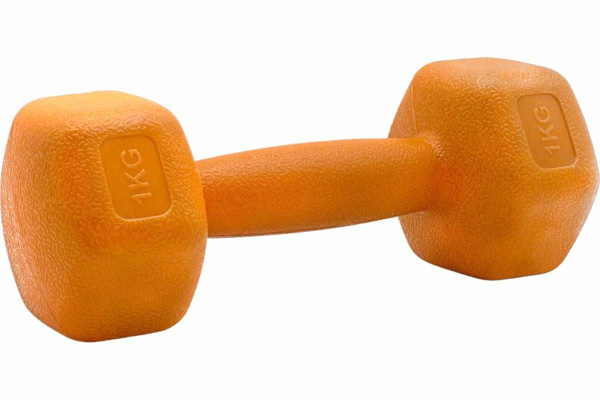 Гантели SportElite Гантель для фитнеса оранжевая, 1шт х 1кг, H-101 ...