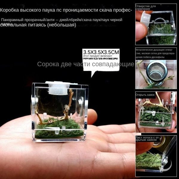 Характеристики Маленький террариум для маленьких рептилий, подходит для ...