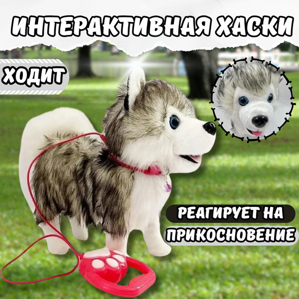 Игрушка Интерактивная собачка на поводке, ходит, лает купить на OZON по ...