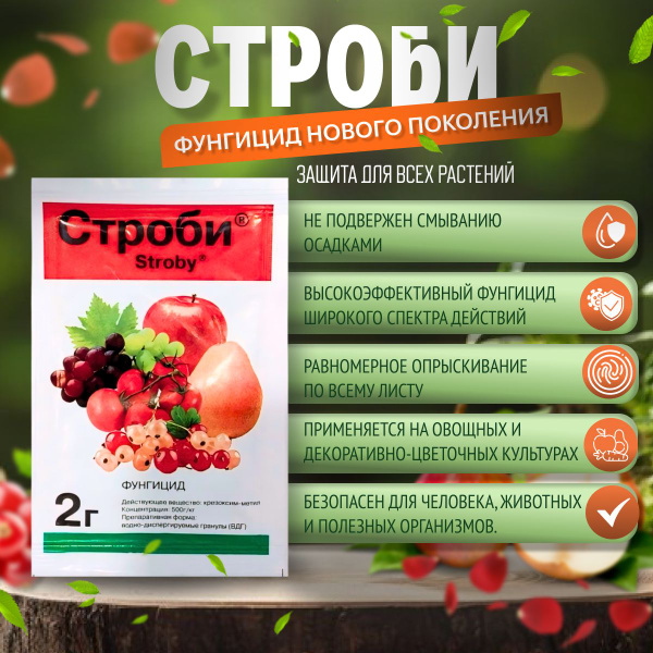 6шт по 2гр!! СТРОБИ. фунгицид для садовых растений против грибных и ...
