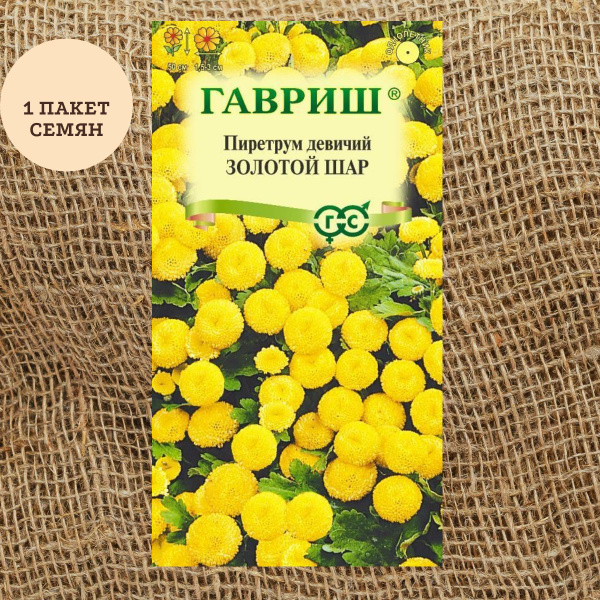 Пиретрумы Гавриш Пиретрум Золотой шар 0,01 г_Золотой шар - купить по ...