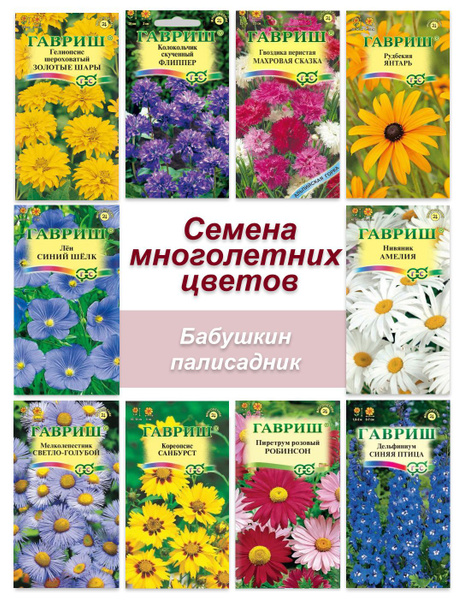 Колокольчики многолетние, Васильки многолетние Гавриш Многолетние цветы ...