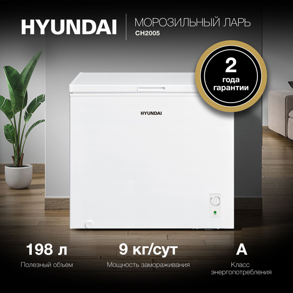 Морозильный ларь Hyundai CH2005 по низкой цене: отзывы, фото ...