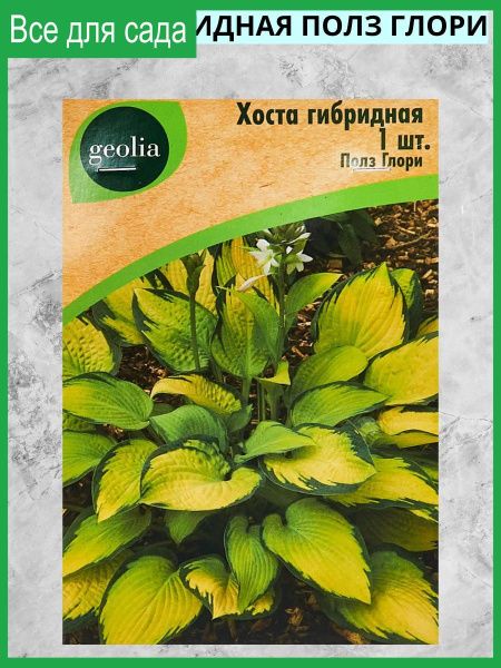 Газонные травы GEOLIA газонной травы/устойчив к природным факторам ...