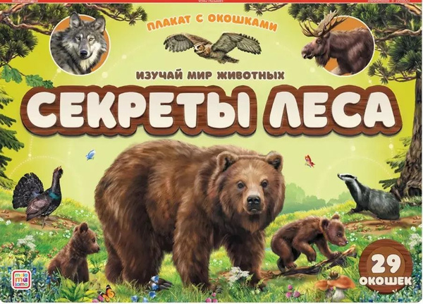 Секреты леса : плакат с окошками - купить с доставкой по выгодным ценам ...