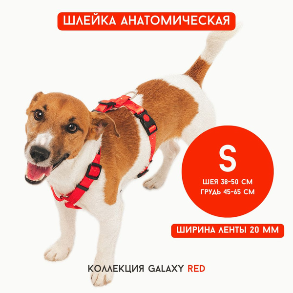 Шлейка анатомическая для собак HUNKIS DOG Galaxy для собак малых пород ...