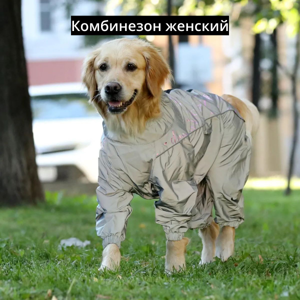 Комбинезон для собак крупных пород Chill Choll влагозащитный ...