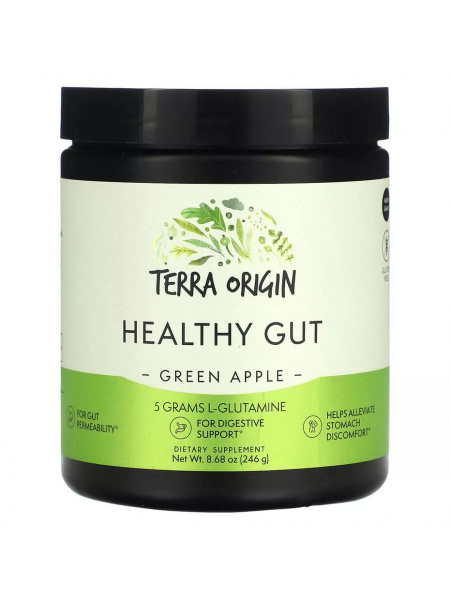 Terra Origin, Healthy Gut, добавка для нормализации функций желудочно ...