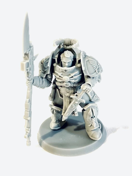 Характеристики Игровые миниатюры Adeptus Custodes Shield Capitan ...