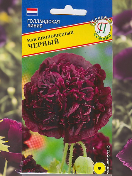 Маки однолетние, Мак Престиж-Семена Цветы однолетние Мак Черный ...