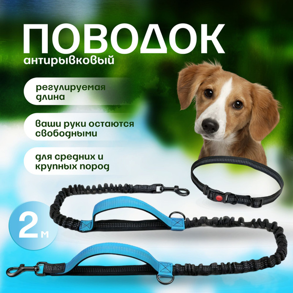 Эластичный поводок для бега и прогулок с собакой, с амортизаторами ...