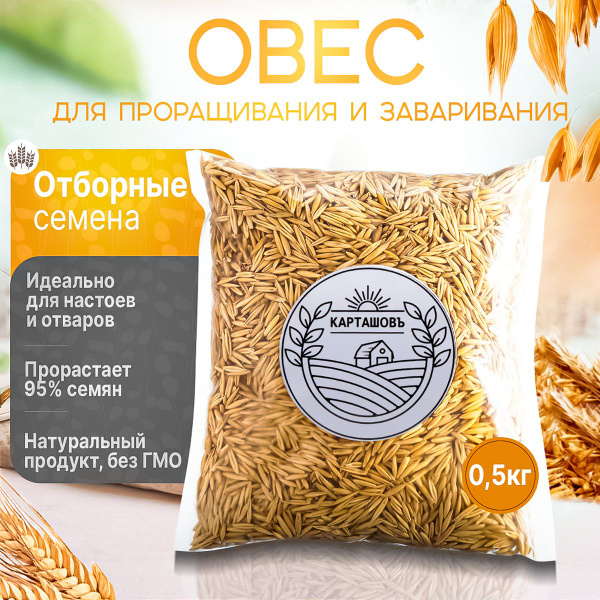 Овес для заваривания , настоев , отваров , для проращивания микрозелени ...
