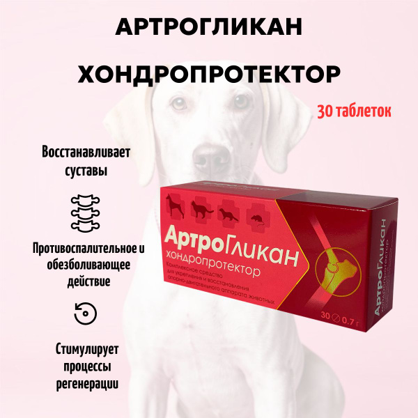 Артрогликан, хондропротектор для лечения опорно-двигательного аппарата ...