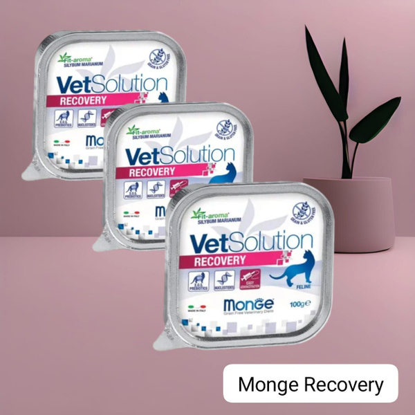 Monge Vetsolution Recovery - полнорационный консервированный ...
