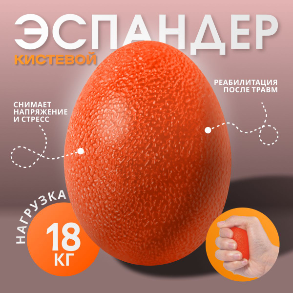 Эспандер Кистевой DaniX, max нагрузка 18 кг - купить по выгодной цене в ...
