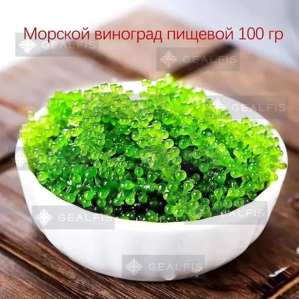 Морской виноград 100 г купить на OZON по низкой цене (1544025906)