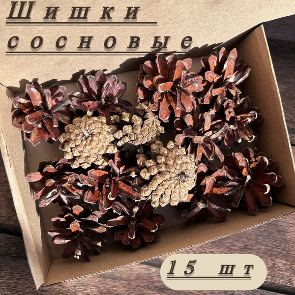 Шишки сосновые для декора, 15 шт купить на OZON по низкой цене (1750544709)