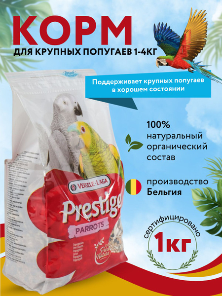 ozon-1828258331