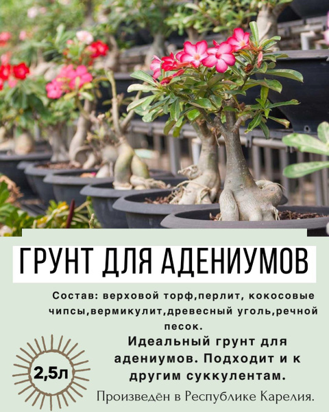 Грунт для адениума, 2,5л/готовый грунт для растений суккулентов/земля ...