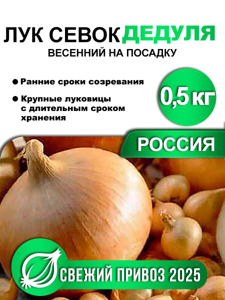 Лук-севок для посадки весной ДЕДУЛЯ, Россия, 0,5кг купить на OZON по ...