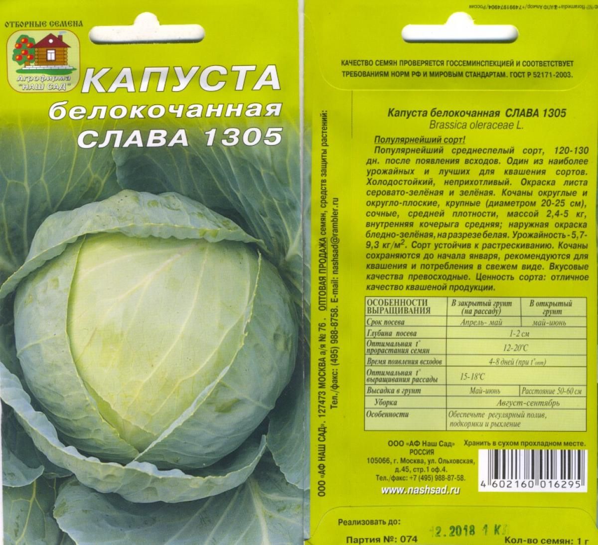 Капуста слава 1305 описание сорта отзывы. Капуста Слава Грибовская 231. Капуста Слава 1305 семена. Капуста Слава Грибовская. Капуста белокочанная сорт Слава.