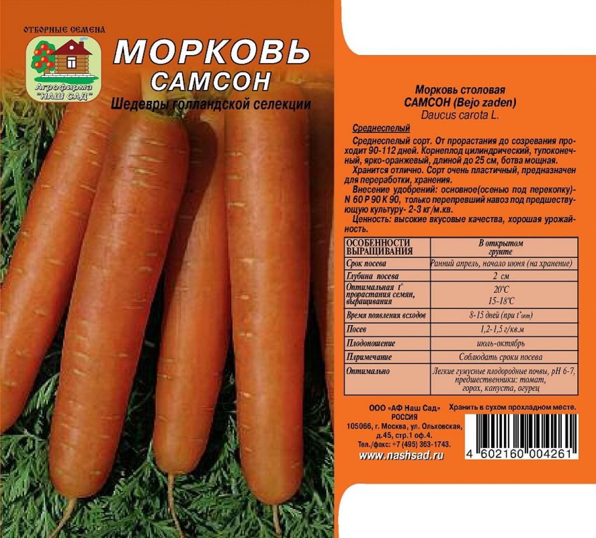 Эффективное использование пространства: компактные разновидности и стратегии распределения