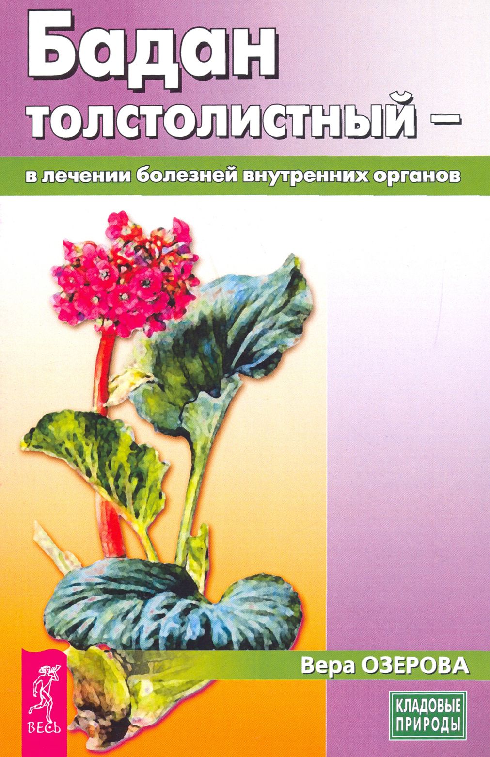 Бадан толстолистный - в лечении болезней внутренних органов | Озерова Вера Марковна