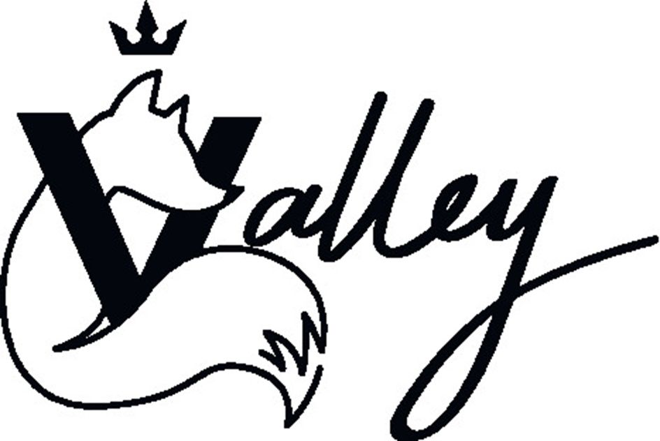 Valley — купить товары Valley в интернет-магазине OZON