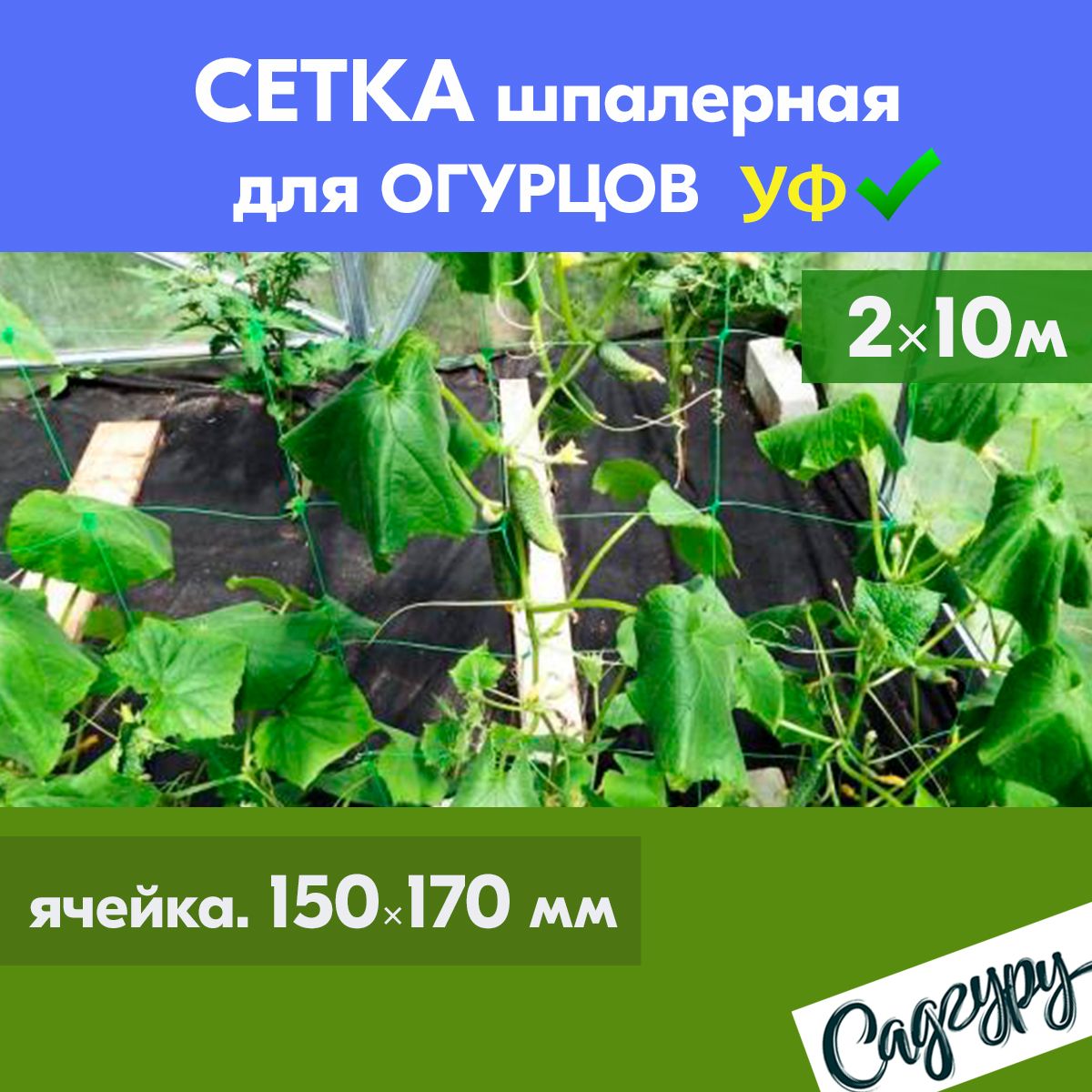 Как правильно подвязать огурцы в теплице из поликарбоната: основные способы