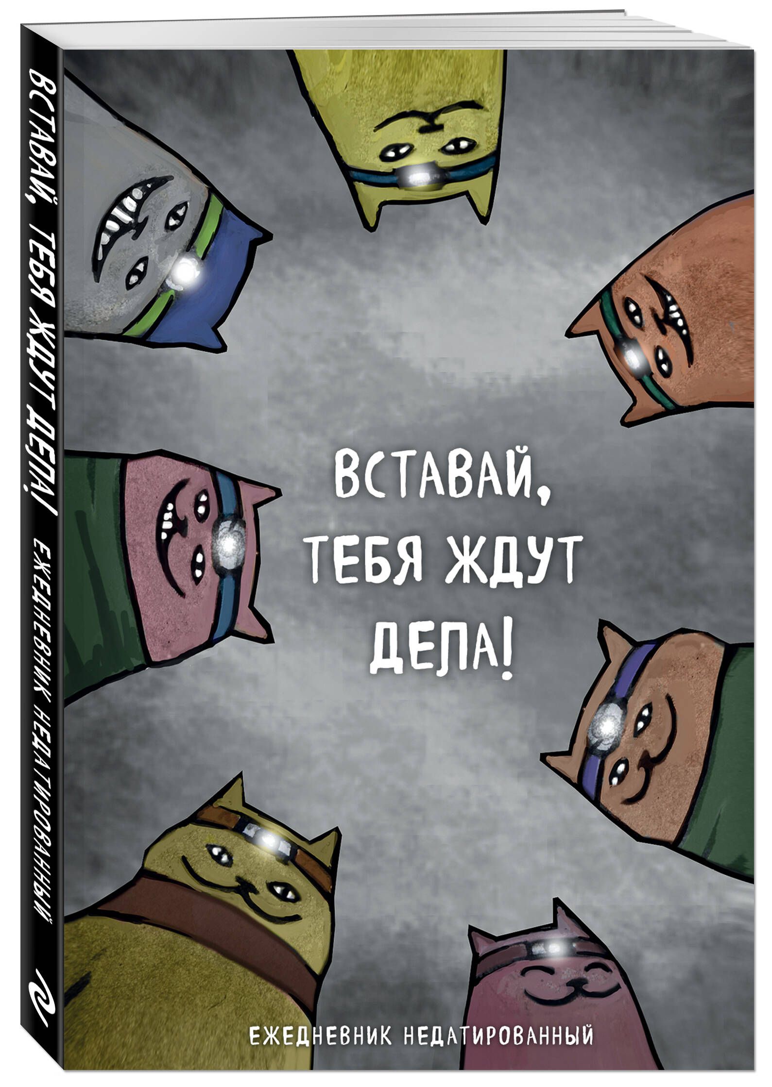 Коты-туристы. Вставай, тебя ждут дела. Ежедневник недатированный (А5, 72 л.)