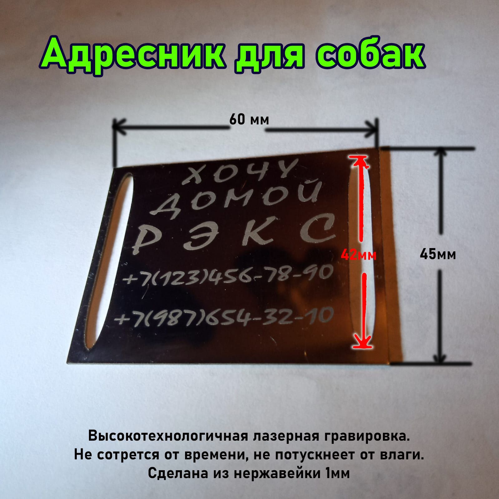 Адресник на ошейник с лазерной гравировкой - купить с доставкой по выгодным  ценам в интернет-магазине OZON (1374368819)