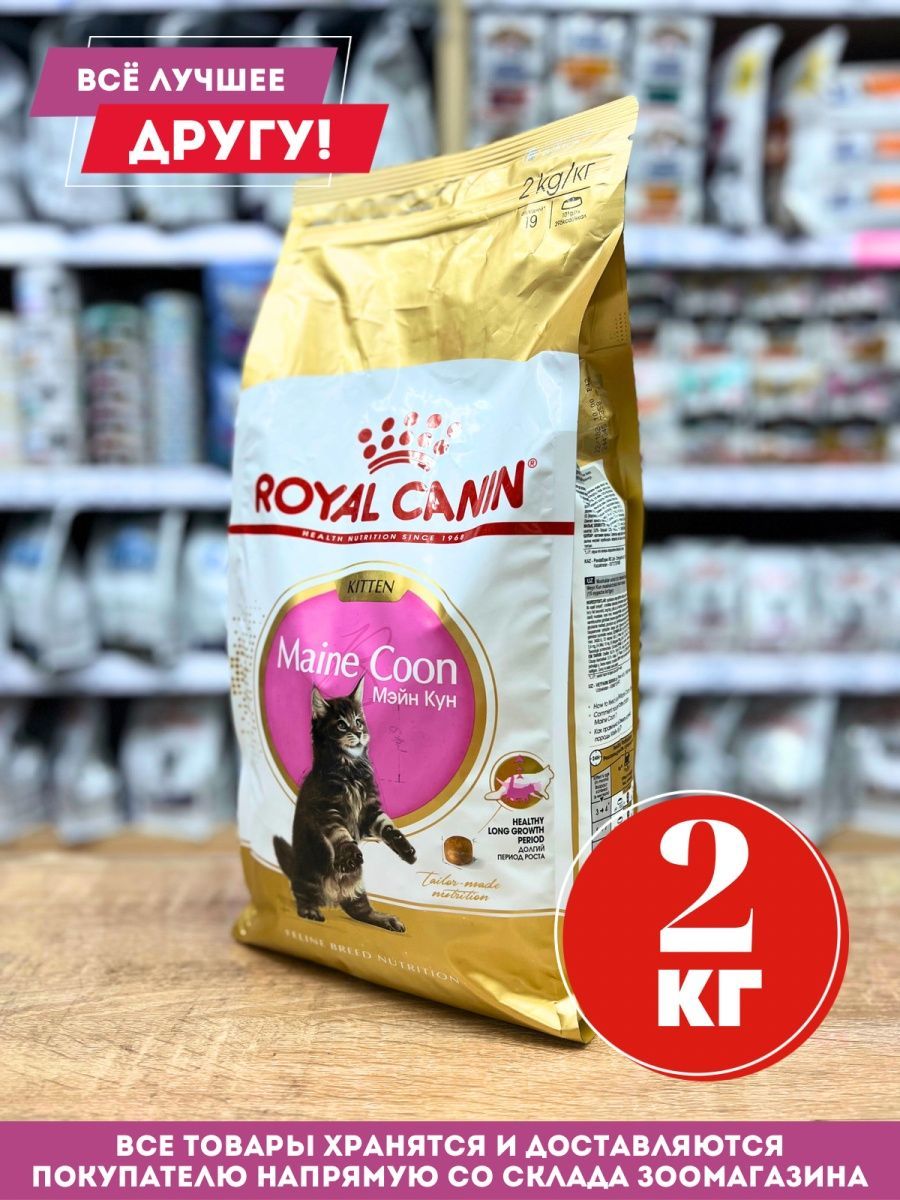 Royal Canin Maine Coon 2 Кг Купить