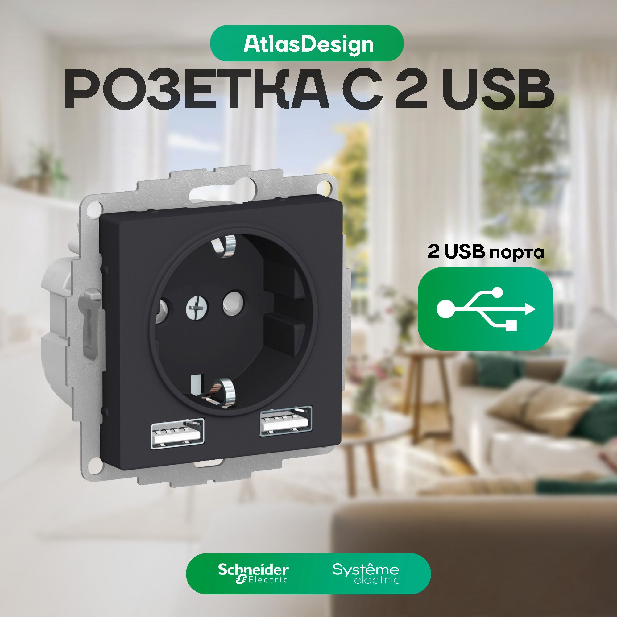 Розетка16Ас2USB-портамиSchneiderElectricAtlasDesign,черная(карбон)