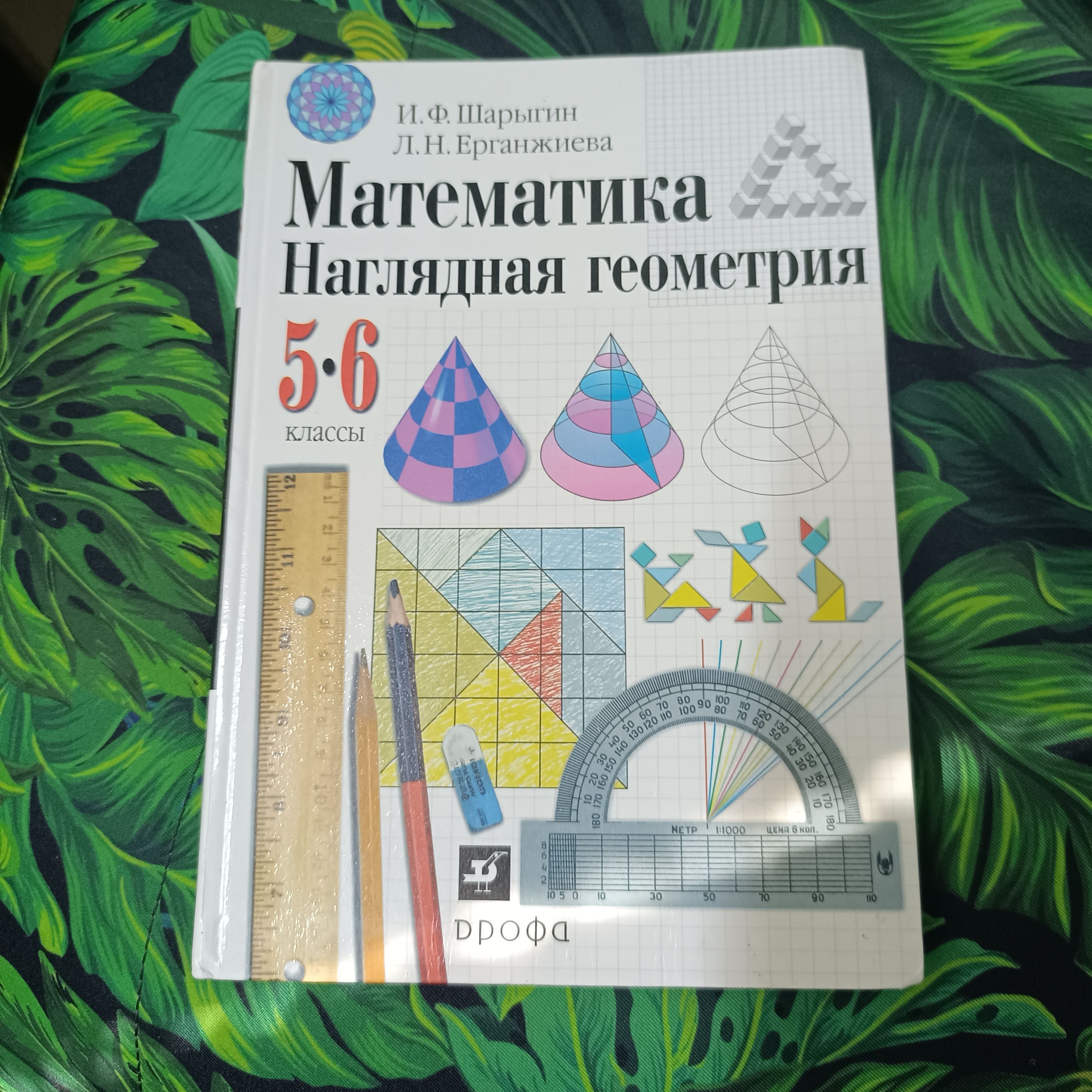 математика наглядная геометрия 5-6 класс Шарыгин И.Ф.