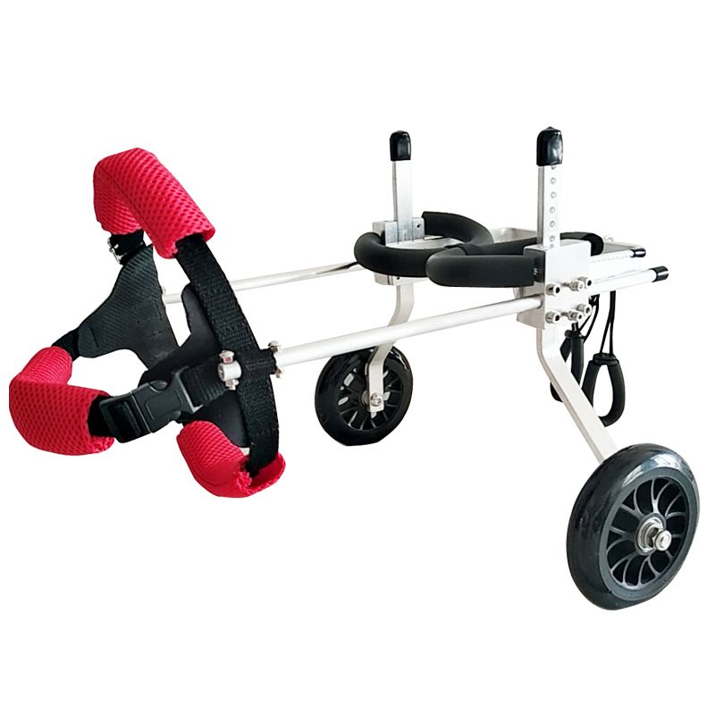 Инвалидные коляски Dog wheelchairs. Коляска для животных fs1780-yg. Коляска Квадро для собак инвалидная. Коляска для собак инвалидов.