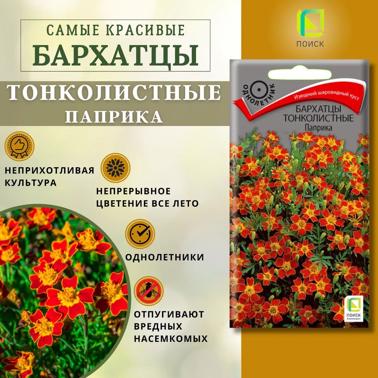 Бархатцы тонколистные "Паприка" семена для сада, на рассаду