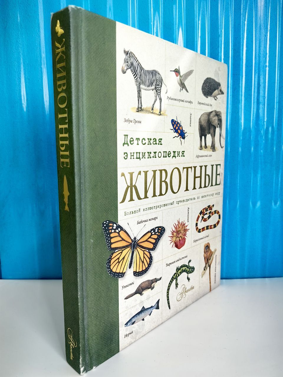 Животные. Детская энциклопедия. Большой иллюстрированный путеводитель по животному миру.