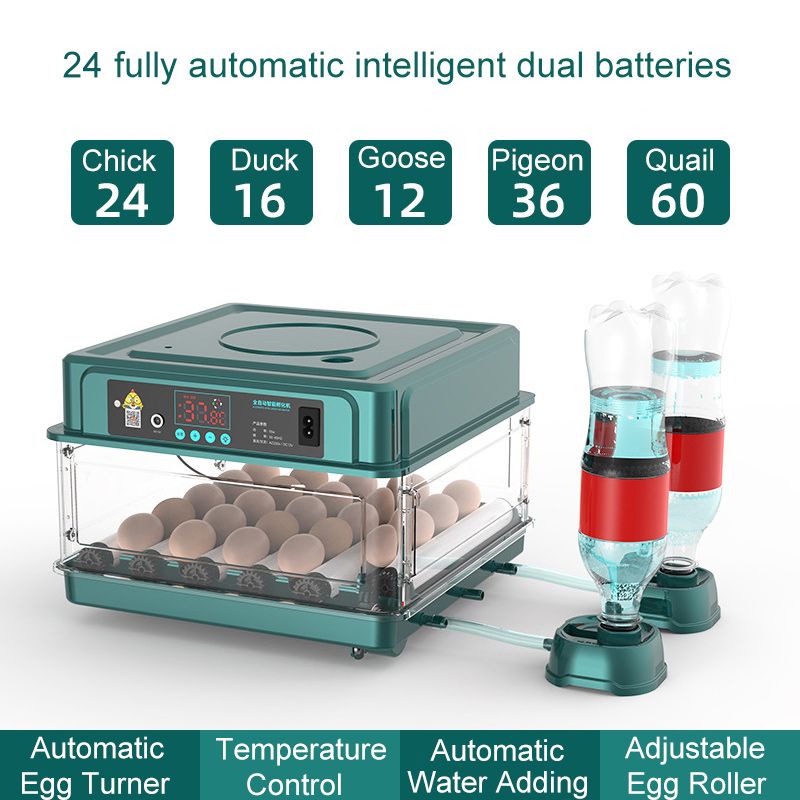 Инкубатор Для Яиц Автоматический 220/12v