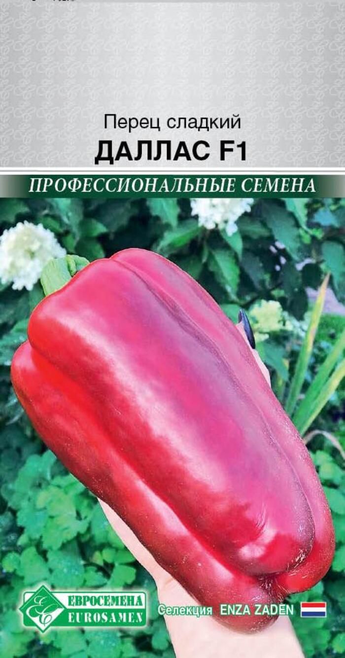 Перец Ламуйо Отзывы Фото Урожайность