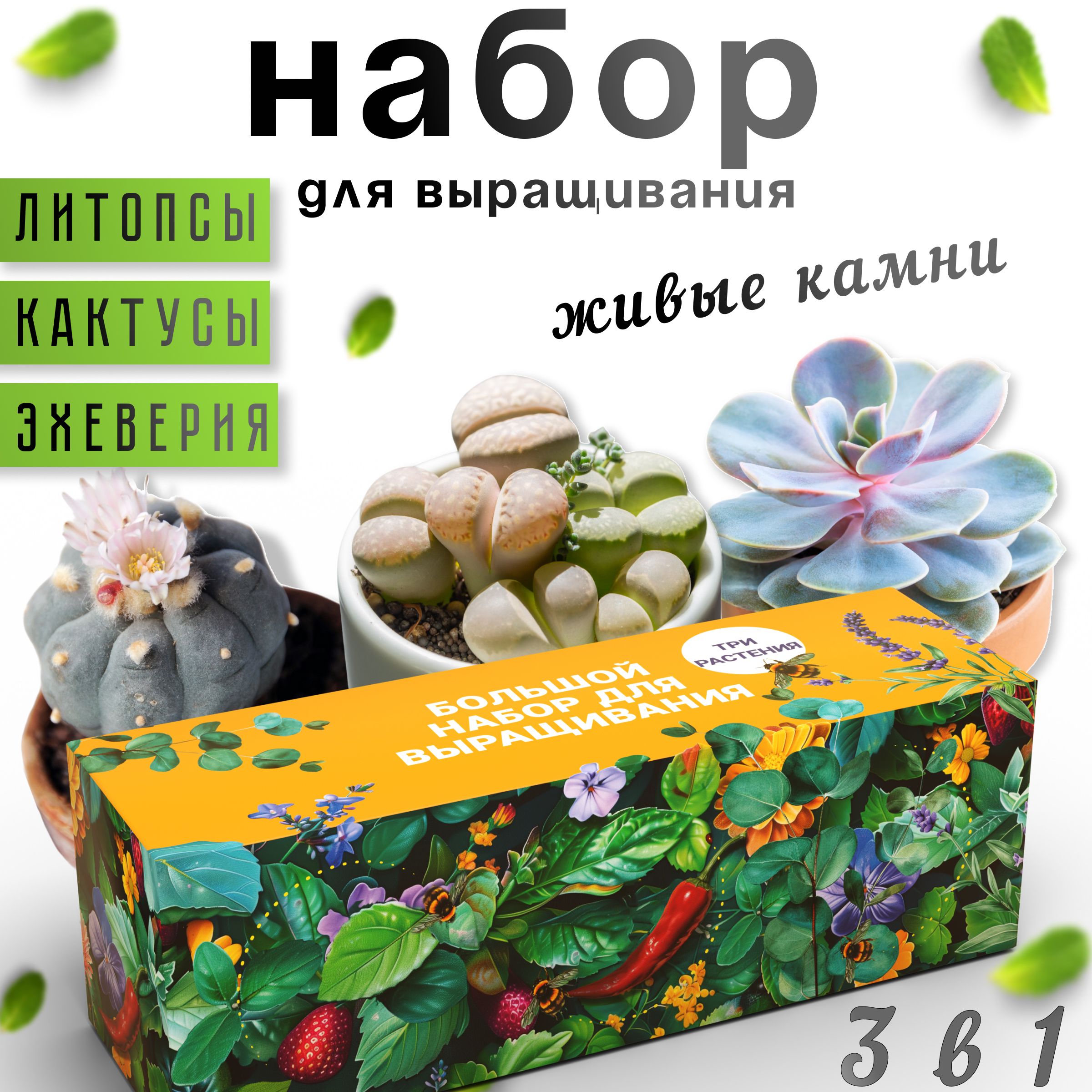 Набор для выращивания Plant Republic, Кактус, Литопсы (Живые камни),  Многолетник купить по выгодной цене в интернет-магазине OZON (1580122651)