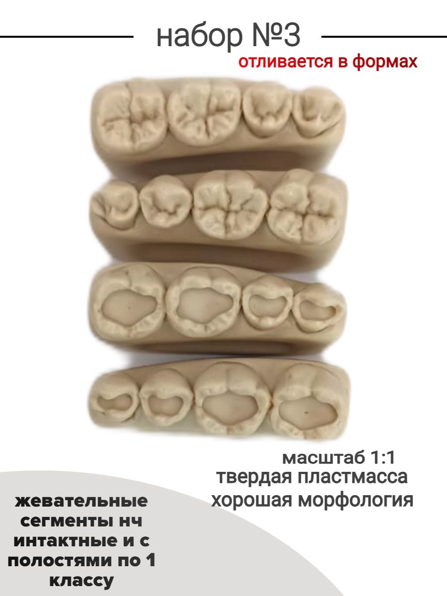 Набор №3 Зубы учебные для реставрации, стоматологический фантом. Жевательные сегменты нижней челюсти интактные и с полостями по 1 классу 4 шт